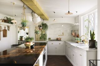 White kitchen with wooden topped island and hanging plants