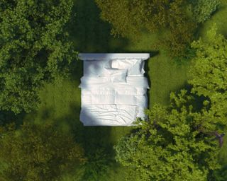 Green mattress white bed in forest