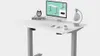 Flexispot EC1 Adjustable Desk