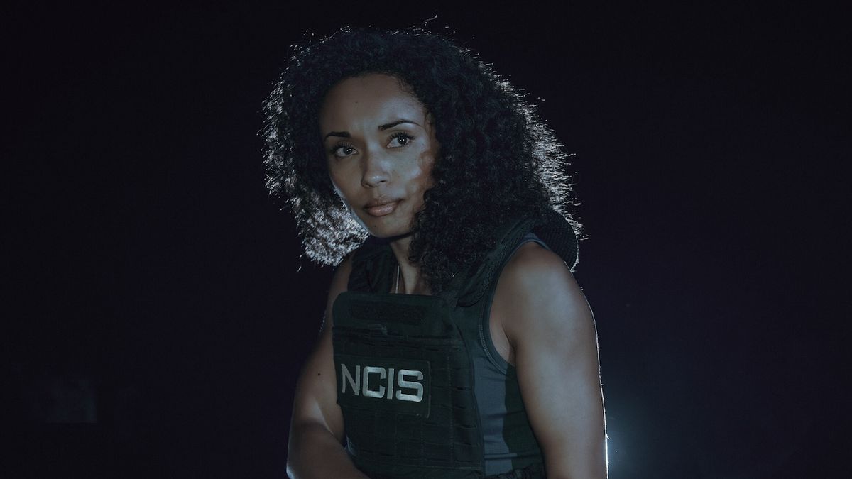 NCIS Sydney’s Season 3 Premiere Introduced A New Character I Hope We