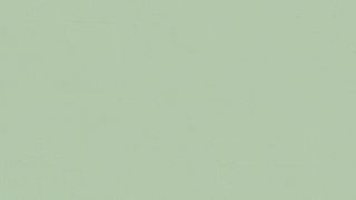 Green 13: Sage Green Paint - Matt Interior Paint