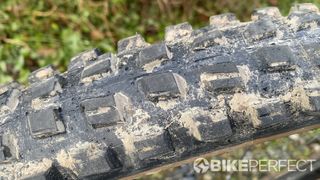 The tread of the Teravail Kessel MTB tire
