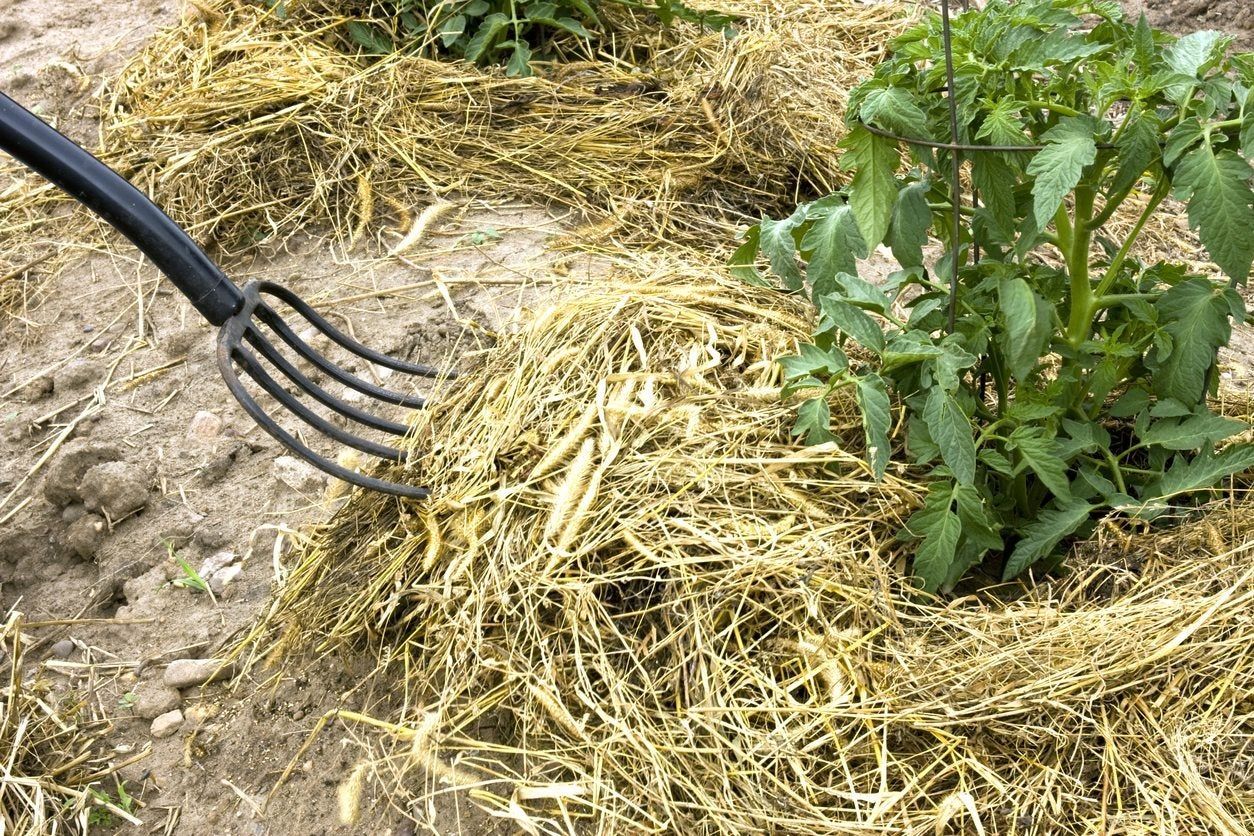 Pitch Fork In Hay