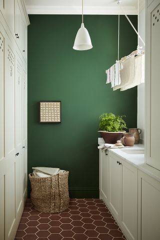 a utility room idea with green painted wall