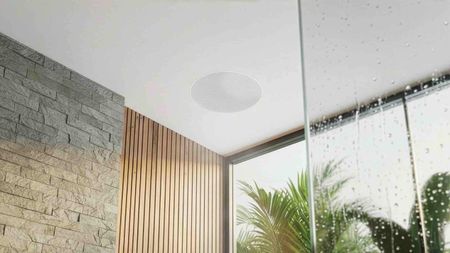 A ceiling-mounted loudspeaker in a walk-in shower.