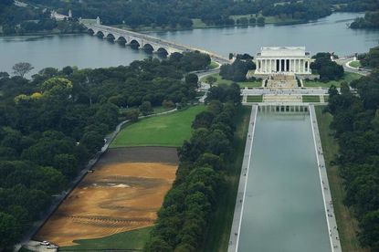 There's a giant face on Washington's National Mall