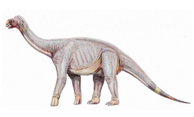 Maryland&amp;#039;s state dinosaur, Astrodon Johnstoni, was discovered by a chemist and named by a dentist.