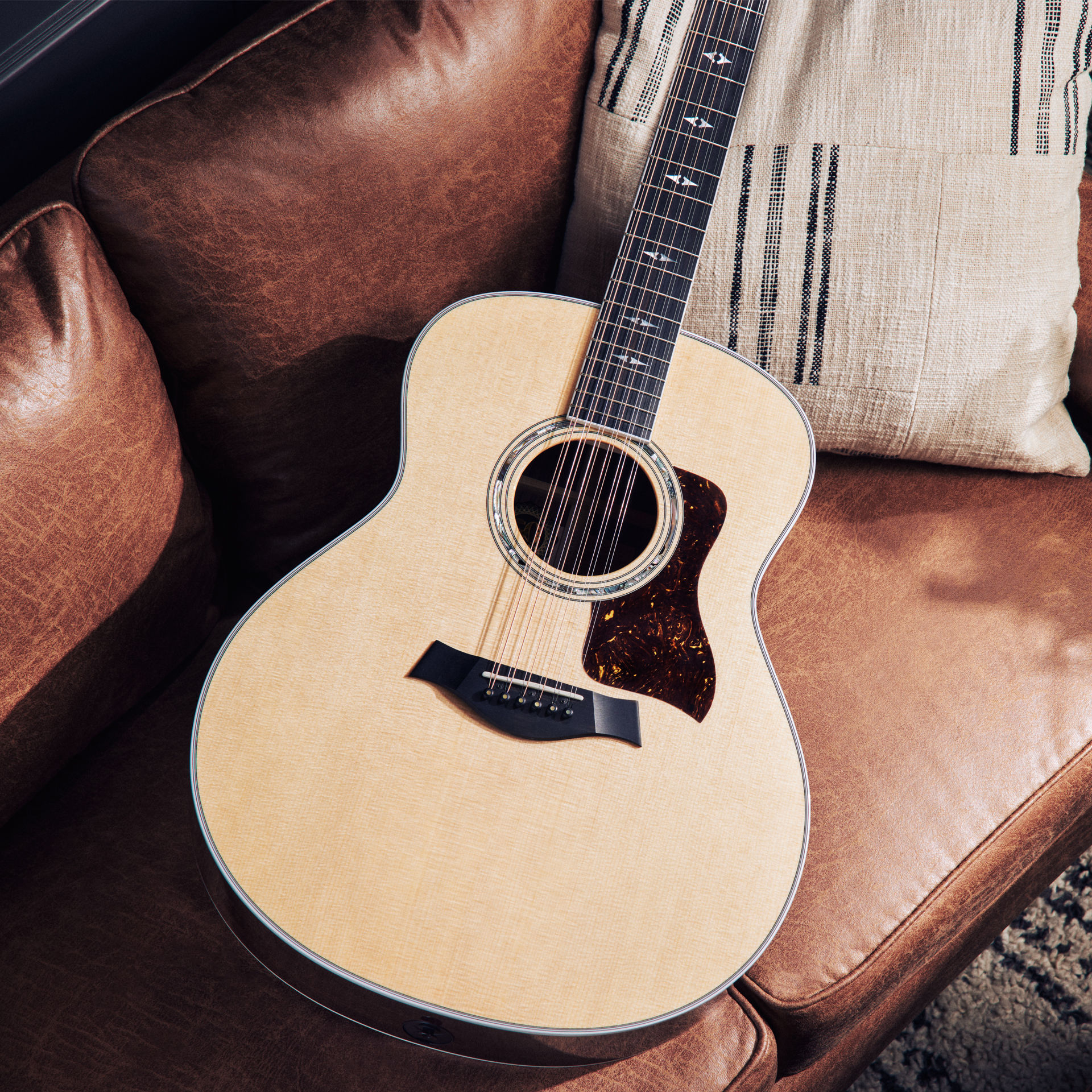 Une photo d'une guitare acoustique à 12 cordes Taylor 50th Anniversary 858e LTD