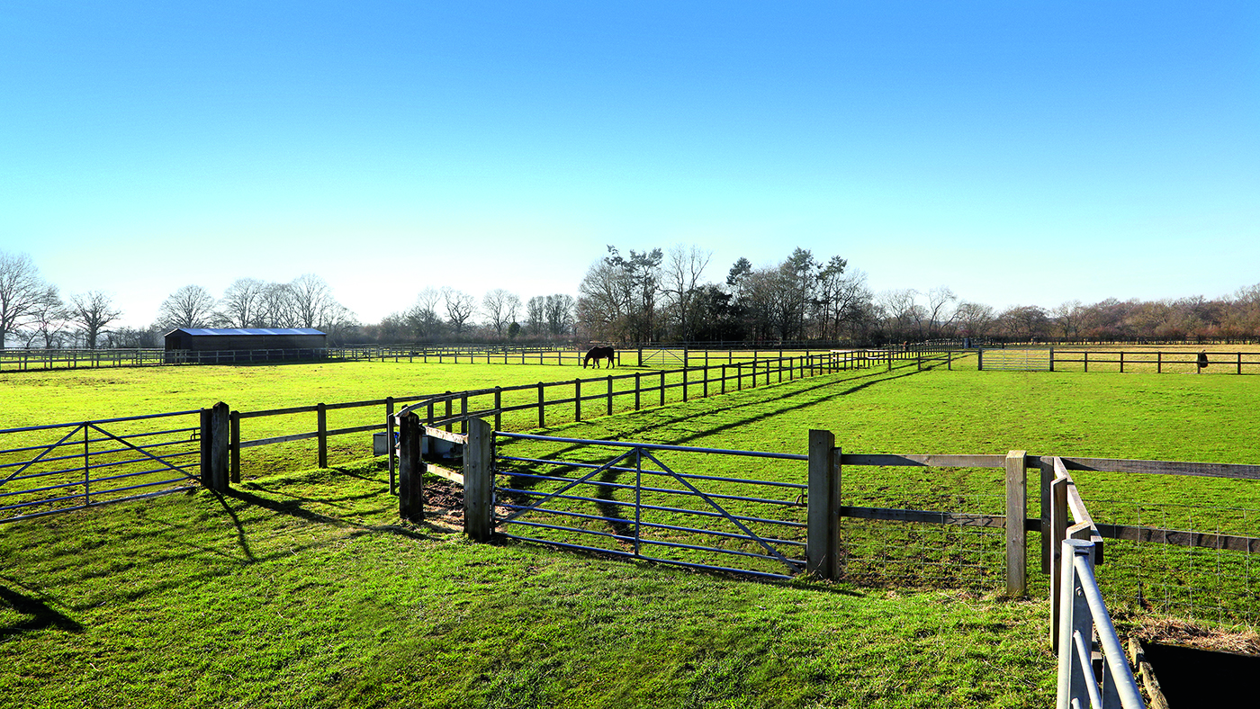 Ramsdale House, Reading Road, Mattingley, Hook, Hampshire, Knight Frank (7)