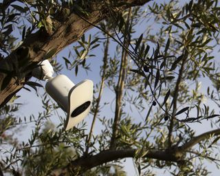 Arlo outdoor camera in tree