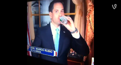 Marco Rubio drinks water.