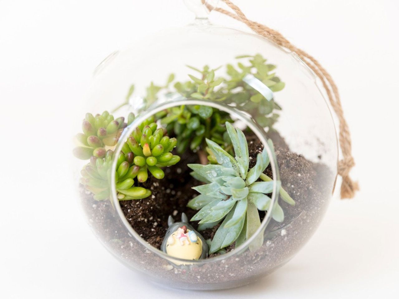 DIY Succulent Garden In Clear Christmas Ornament