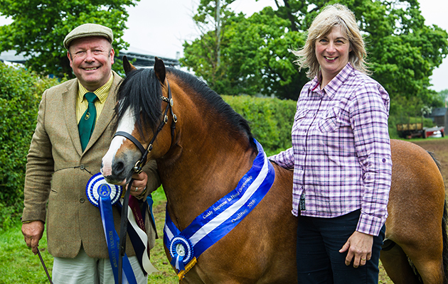 672 Ysselvliedts Highwood with Tony &amp;amp; Nicki McGuire - Champion Welsh Section A and Cuddy Champion
