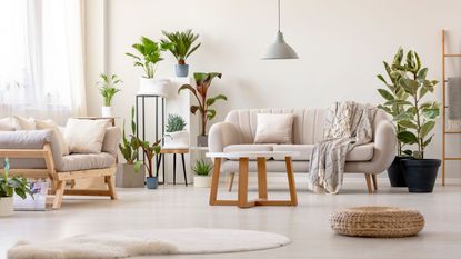 Living room with plants and white sofa