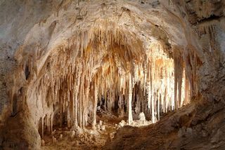 In the so-called Doll's Theater in Carlsbad Caverns National Park a huge collection of soda straw stalactites and columns grows. 