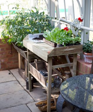 greenhouse potting bench with plants and storage area