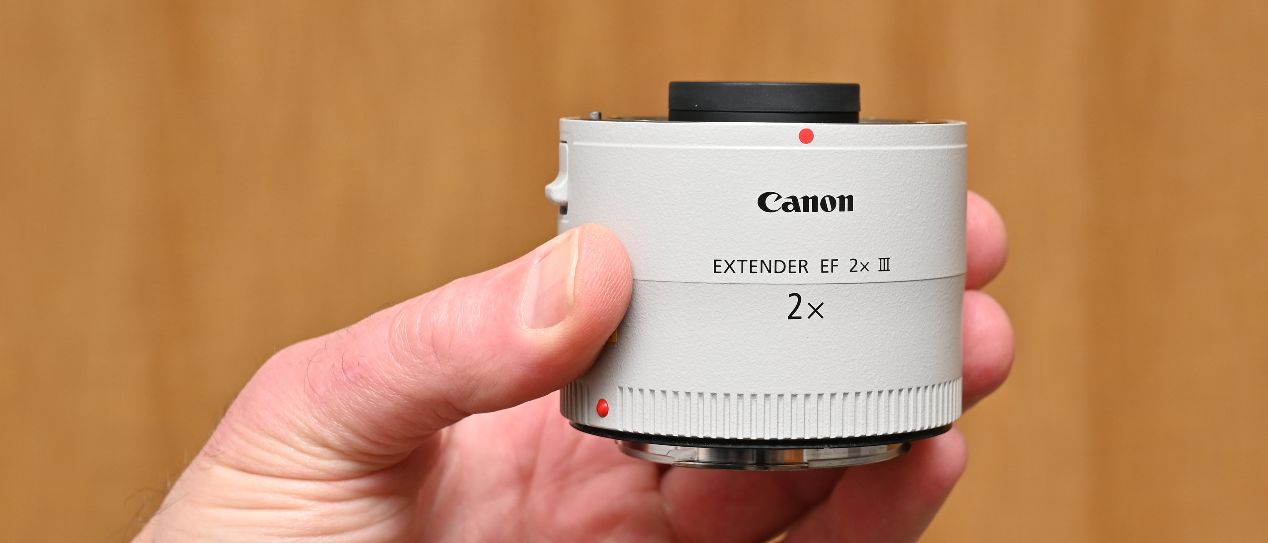 Canon Extender EF 2x III review: is twice as much twice as good 