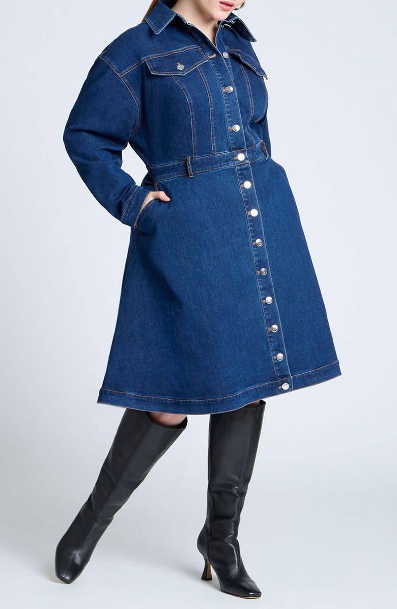 Long Sleeve Fit & Flare Denim Shirtdress