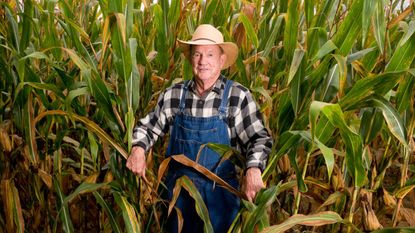 Senior farmer standing in an Indiana cornfield