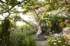 Mr Pasti’s Garden of Consolation at Rohuna, created with 600 local youths, many of whom are now gardeners © Andrew Montgomery