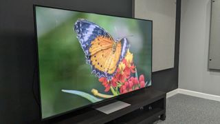 LG QNED91T with butterfly on screen