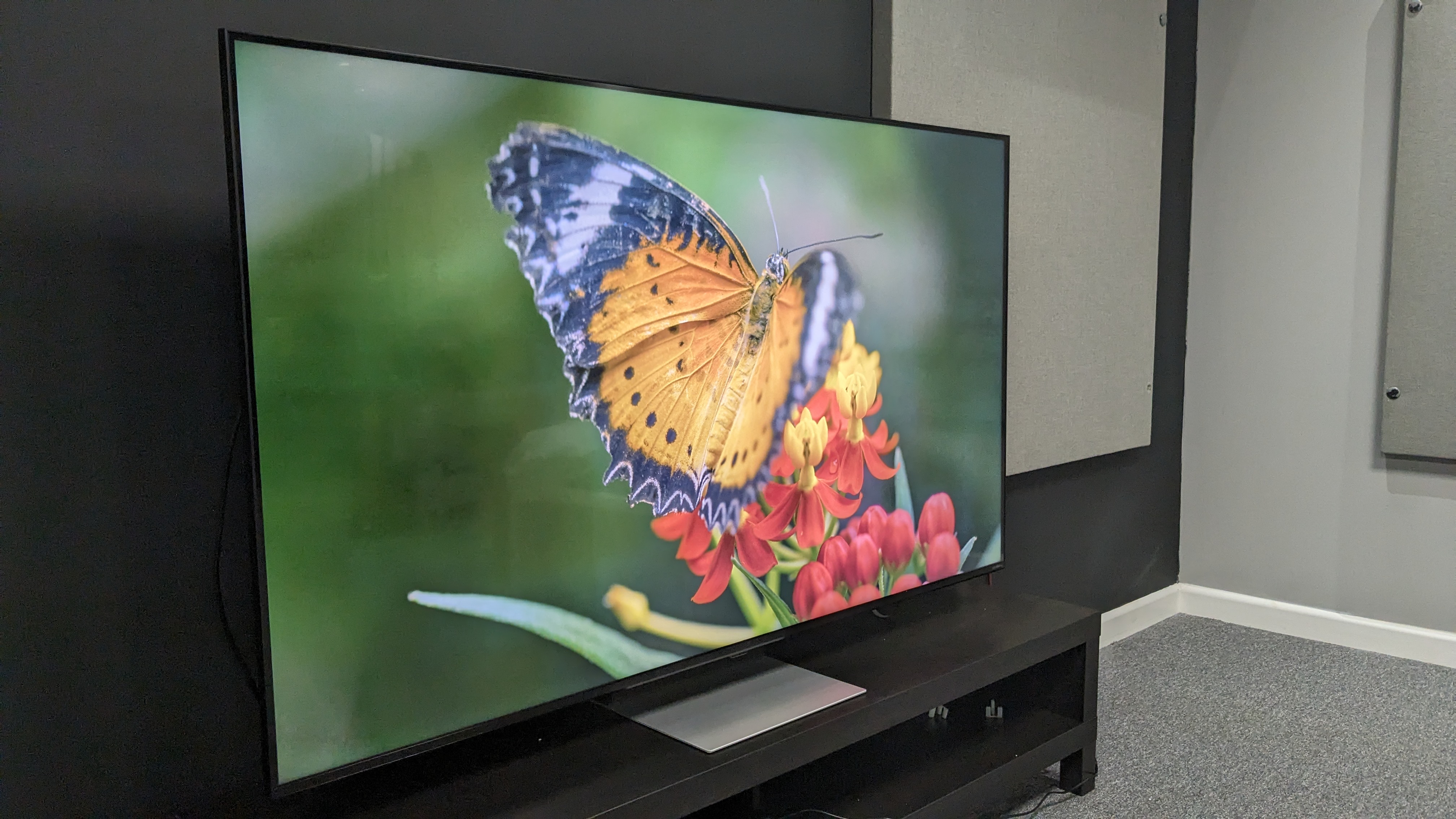 LG QNED91T with butterfly on screen
