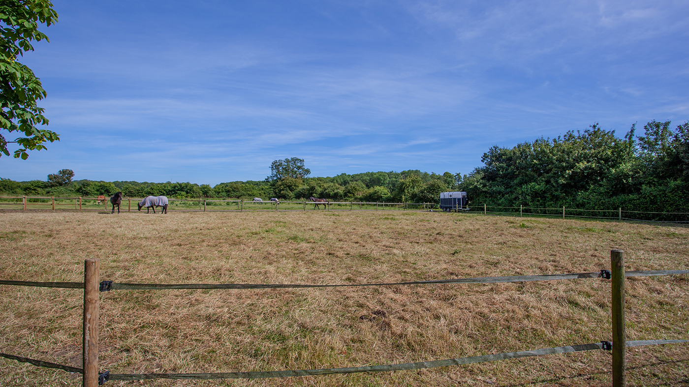 The Old Stud Farm, field 2, jackson-stops