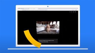 Google Chrome Live Captions on a video of a dog