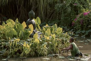 A Buddha statue rises from a lush bush placed on a river in a sunlit shot. To its right, a man is photographed while approaching the sculpture