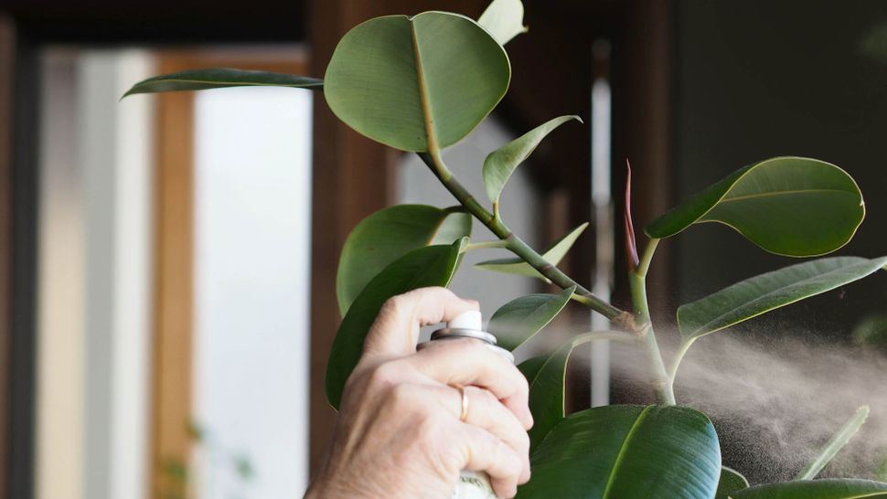7 ways to make your fake plants look more real Tom's Guide
