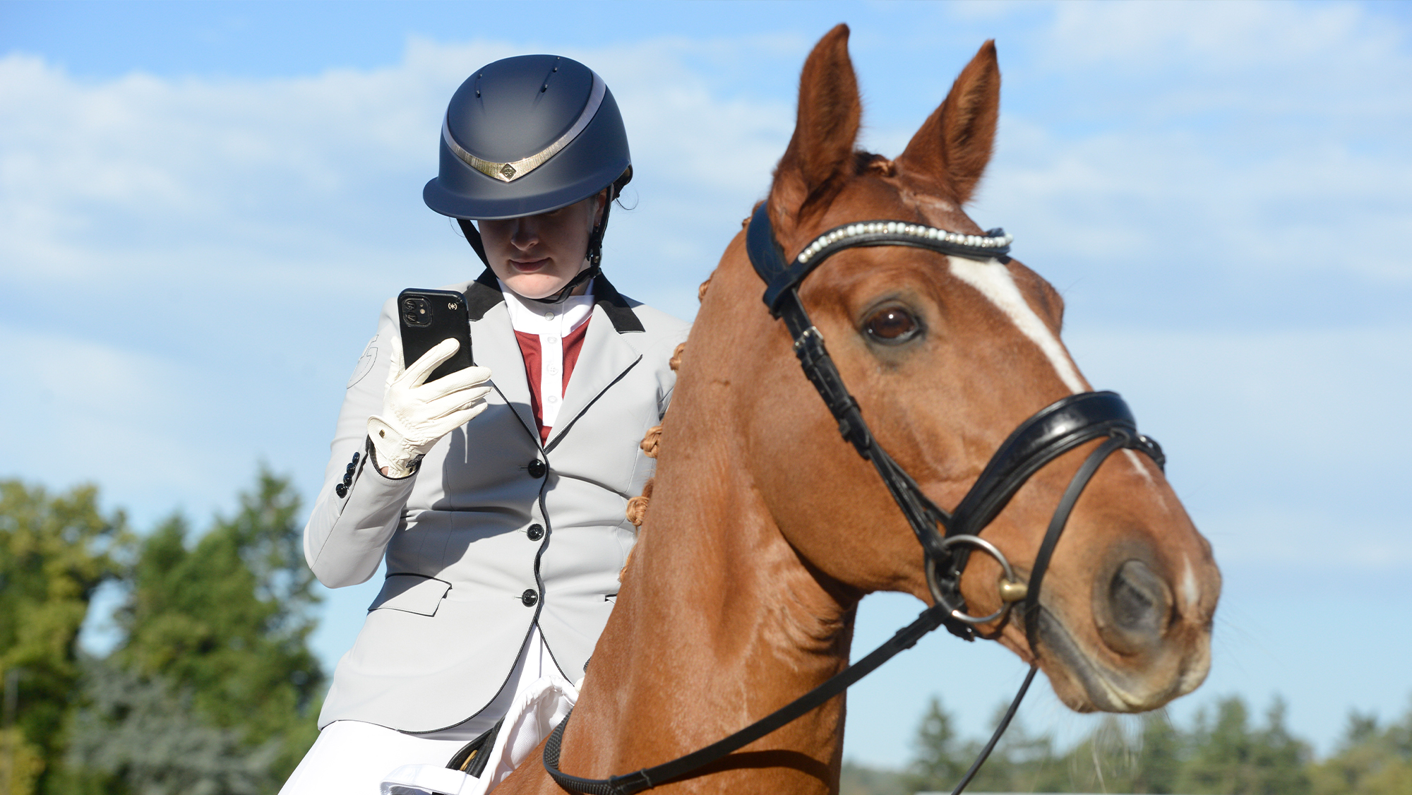 Horse rider in competition gear on chestnut horse looking at phone for AI training information