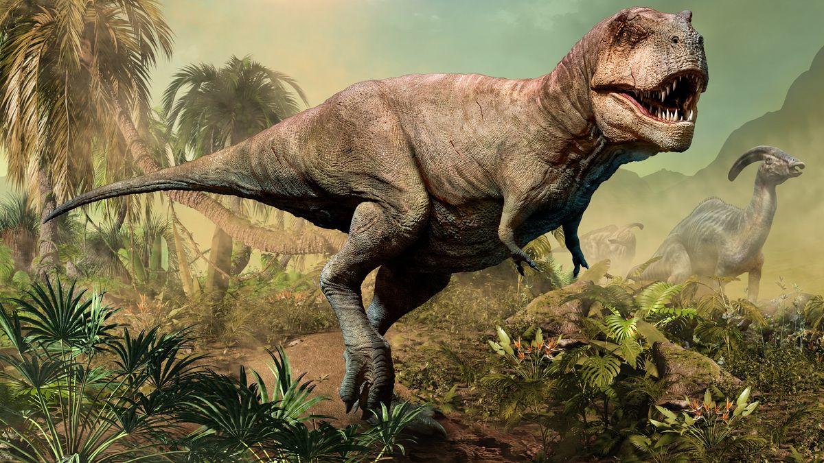 Teen Dinosaurs: T. Rex's Awkward Phase Helped It Hunt - The Atlantic