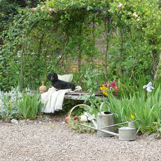 Gravel garden with floral arbour and black dog sitting under