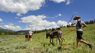 Racers run with their burros as they head towards Mosquito Pass during the Pack Burro Race