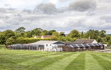 Bucklands-Farm-_1__159608552_234424842.jpg