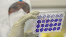 Engineer looks at samples in vaccine laboratory