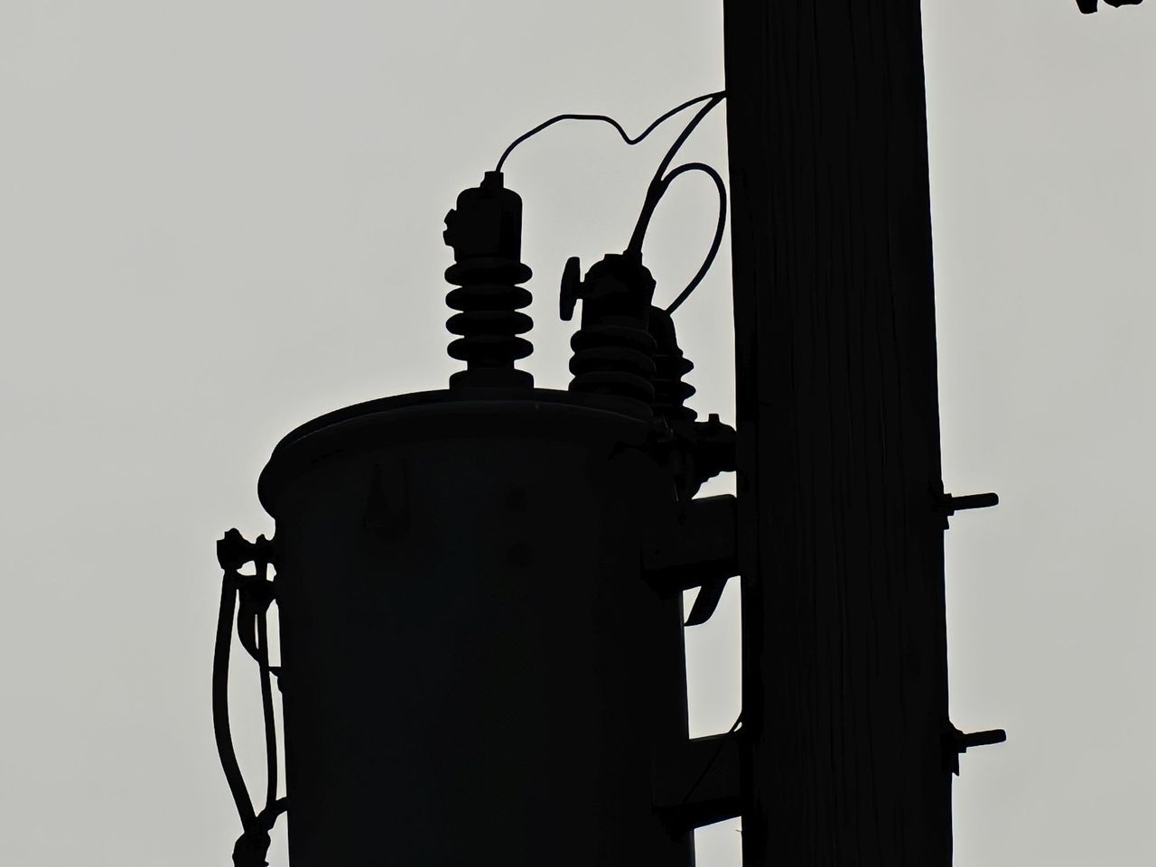 OnePlus 13 zoom sample.