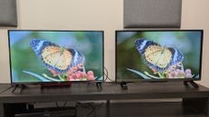 TCL S5400 and Toshiba LF2F53DB side by side with butterfly on screen 