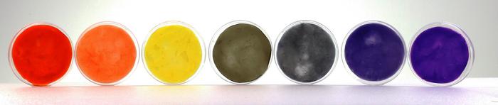 seven circles of colors including red, orange, yellow, green, gray and purple