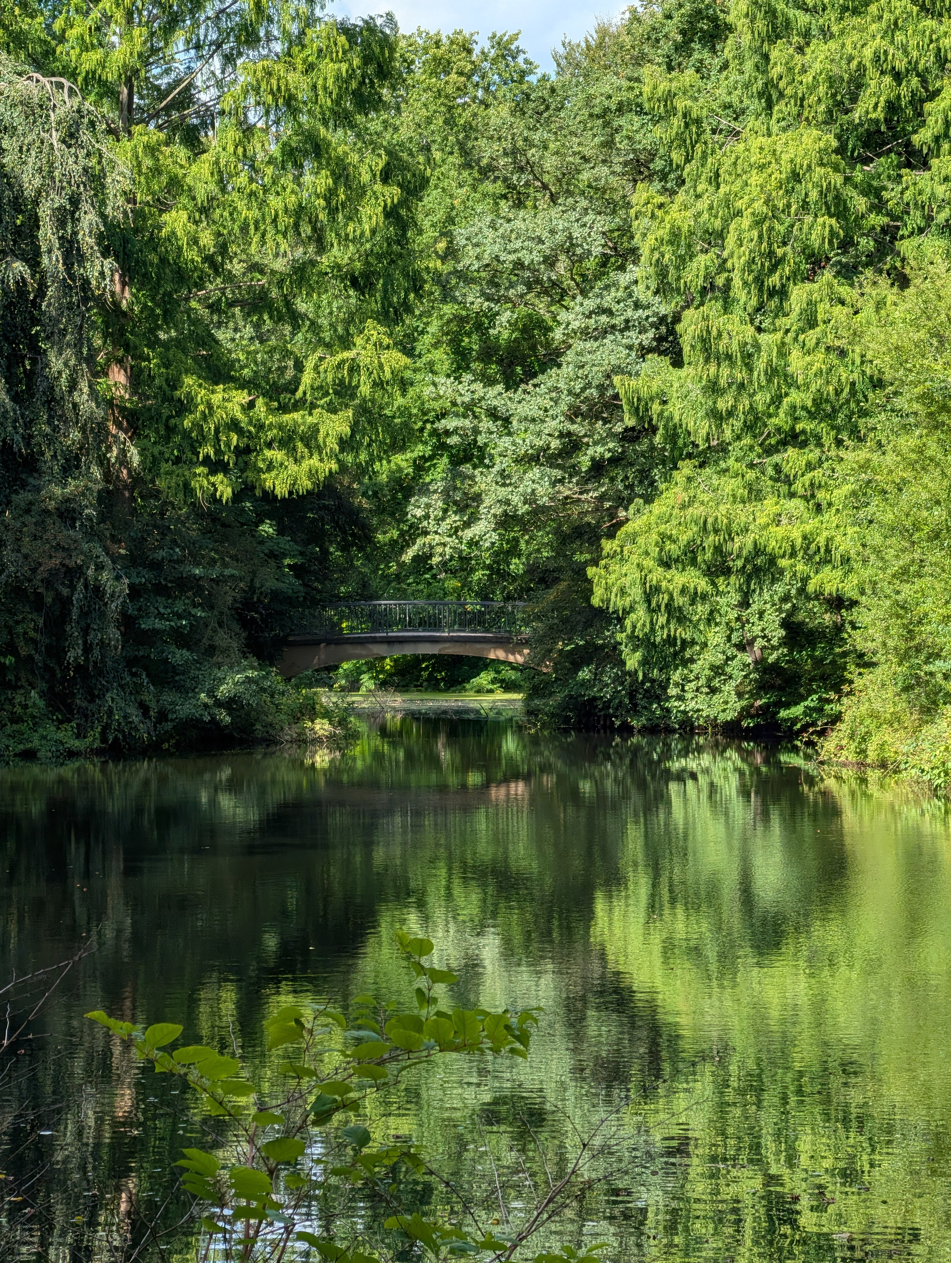 A leak surrounded by trees with a bridge in the middle