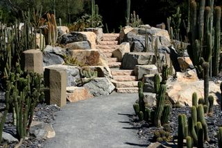 Santa Barbara - Lotusland_cactusgardensteps_PhotobyLotusland.jpg