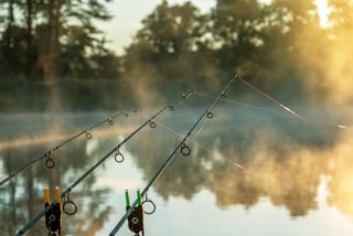 Carp fishing rods misty lake