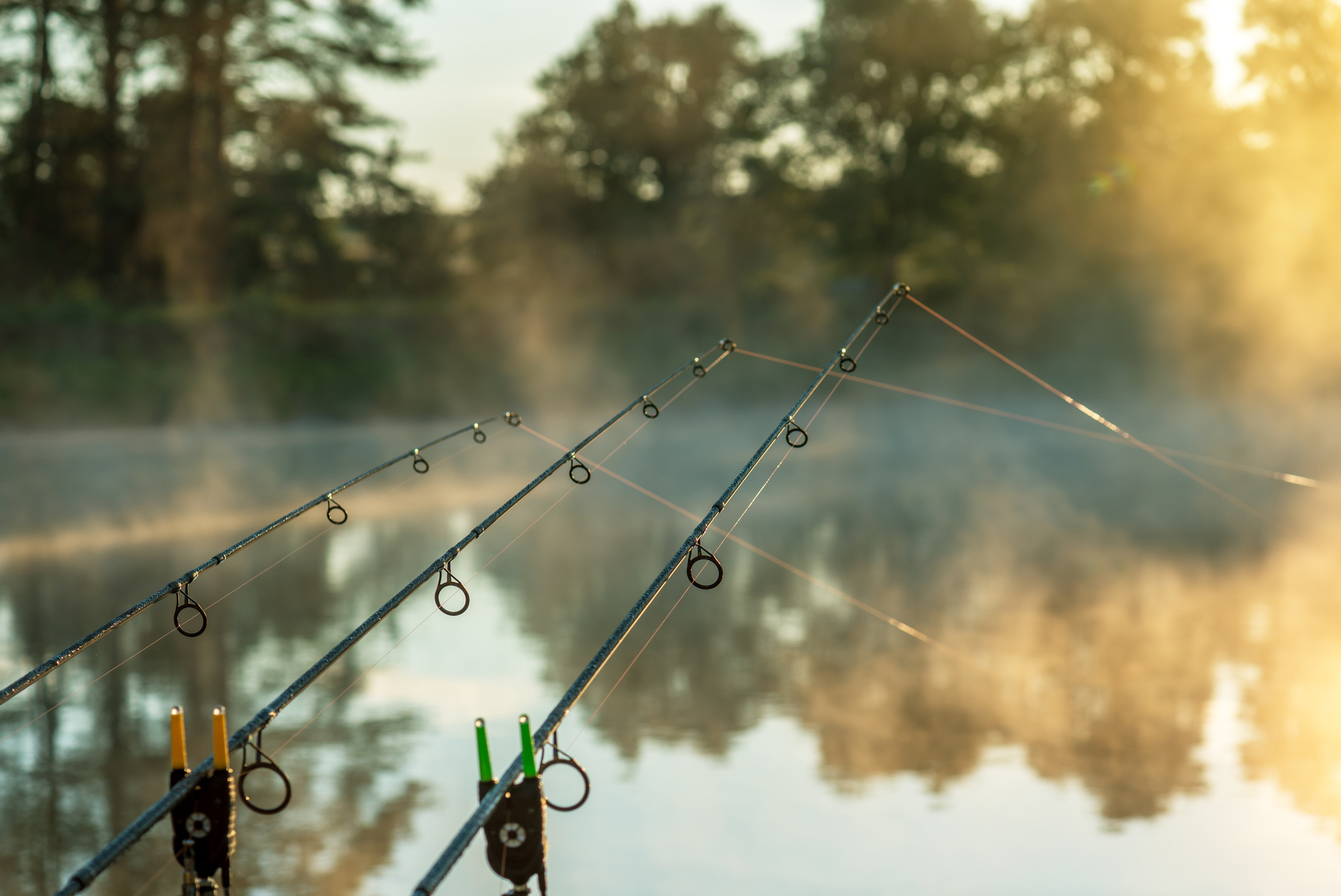 How to catch carp: the best tips for catching big carp | Advnture