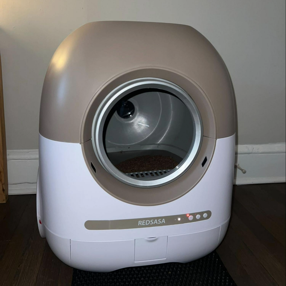 Kelly's Redsasa Self Cleaning Litter Box, one of the best automatic cat litter boxes