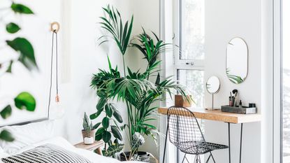 A modern, stylish and bright bedroom with plants