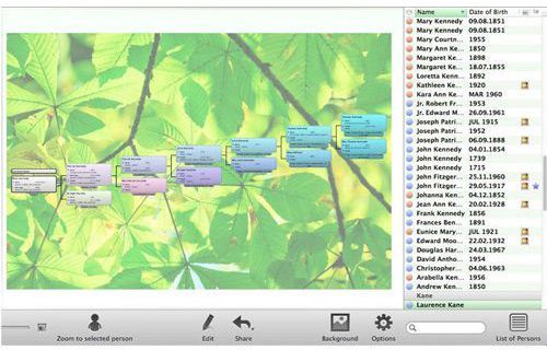 macfamilytree 8 review flash drive