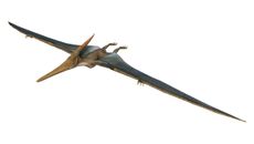 3-D rendering of a pterodactyl.
