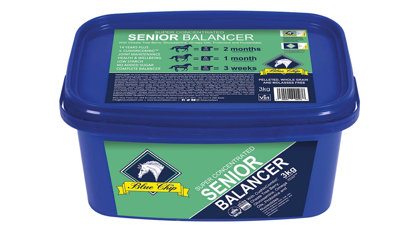 Blue Chip veteran supplement