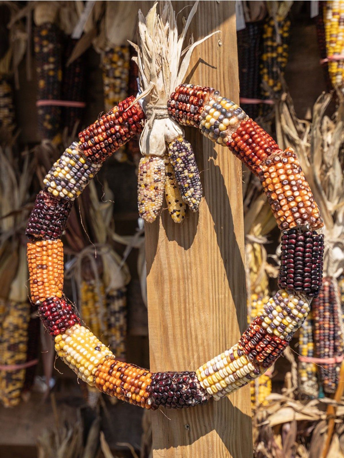 DIY Indian Corn Wreath – Indian Corn Wreath Craft Ideas | Gardening ...