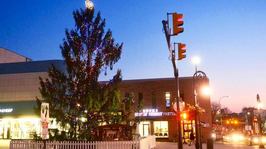 Town up in arms over &amp;#039;nasty,&amp;#039; &amp;#039;pitiful&amp;#039; Christmas tree